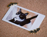 Glitter Bat Corner Pins