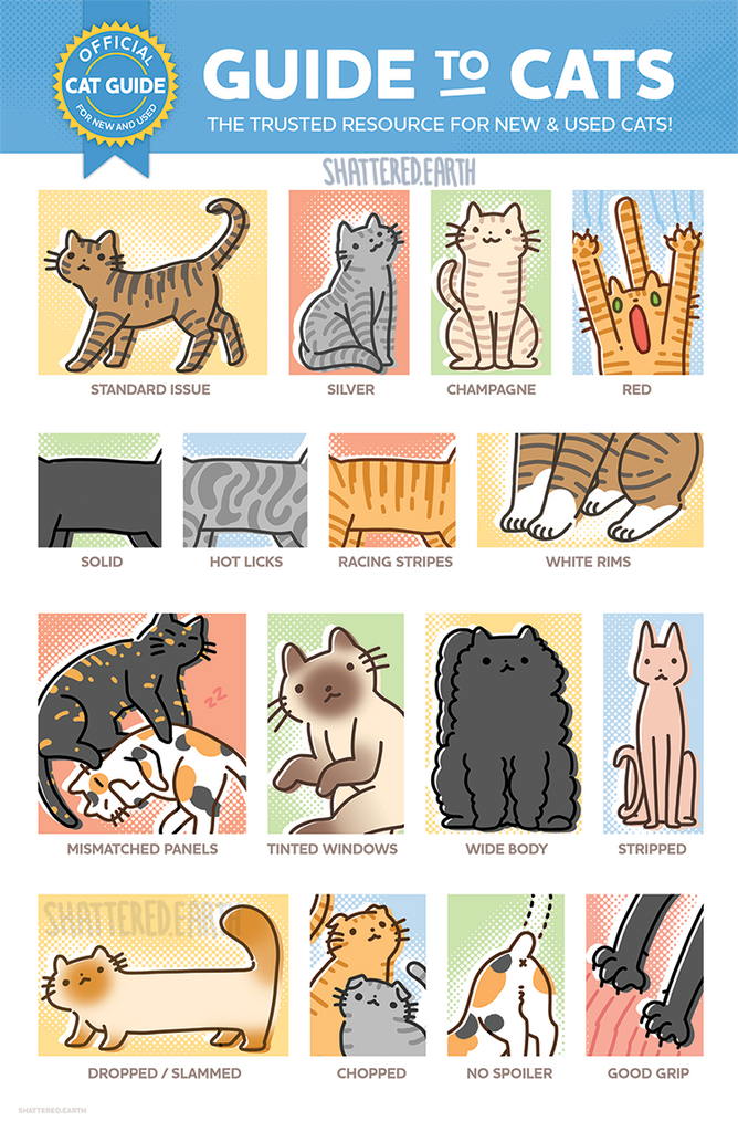 Cat Guide. Image Guide to Cats Print – Shattered-Earth