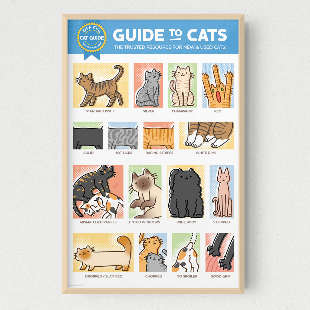 Cat Guide. Image Guide to Cats Print – Shattered-Earth