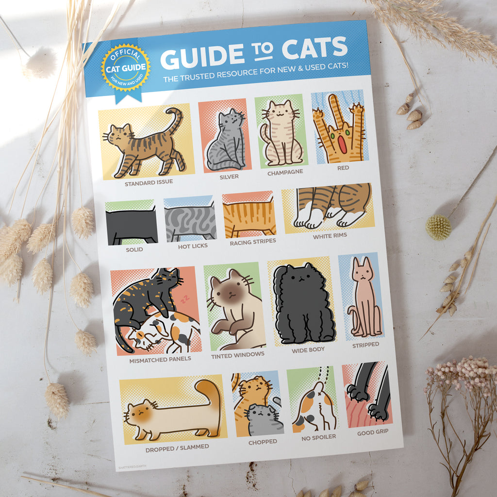 Cat Guide. Image Guide to Cats Print – Shattered-Earth